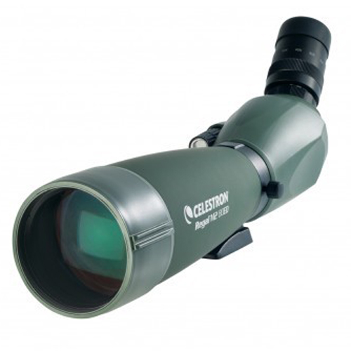 REGAL M2 80MM