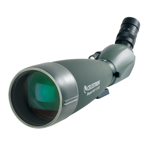 REGAL 100 M2
