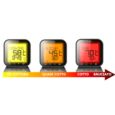 BLE BBQ THERMOMETER