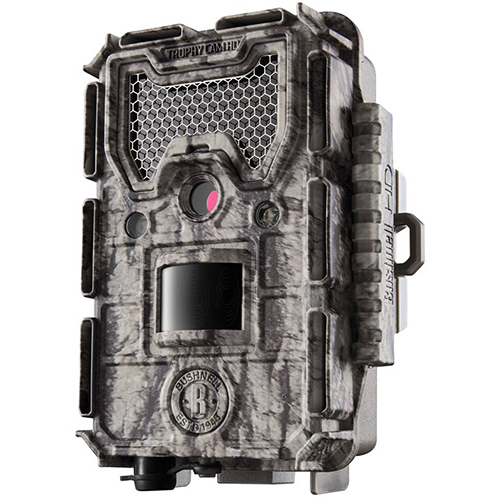 AGGRESSOR CAMO 24MP